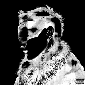 黄瓜视频♥成人app♥i
