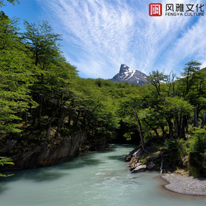 黄瓜视频♥成人app♥i
